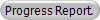 Progress Report.